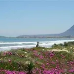 Apartment Nova - Deniasol Denia